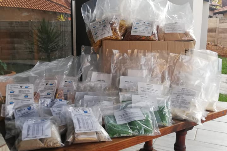 Moeggesukkel Website designs (1)